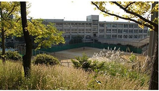 裏山から見た校舎