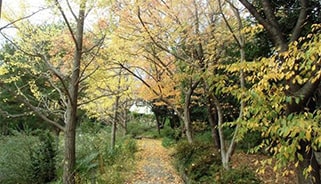 青垣の道・秋